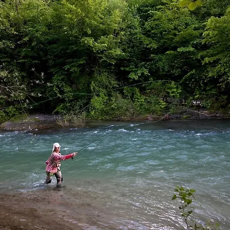 Camping Naturplac Na Skali Ljubno