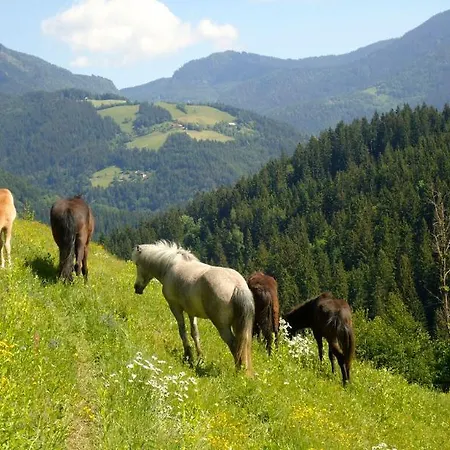 Camping Naturplac Na Skali 2* Ljubno