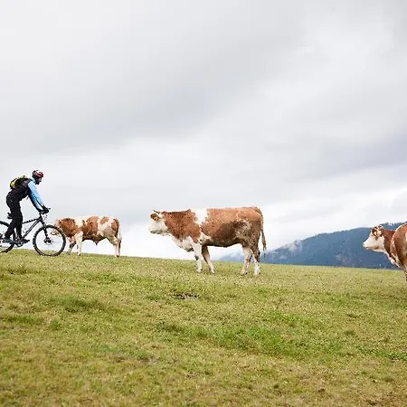 Luxuszelt Camping Naturplac Na Skali 2*