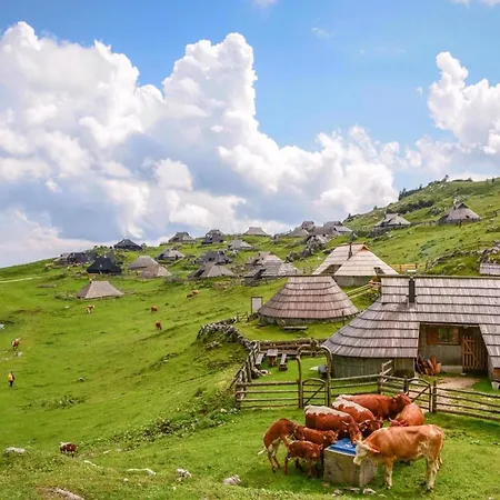 Camping Naturplac Na Skali Luxuszelt 2*