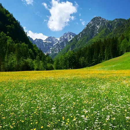 Luxuszelt Camping Naturplac Na Skali 2*