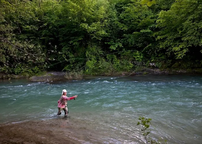 Camping Naturplac Na Skali Ljubno
