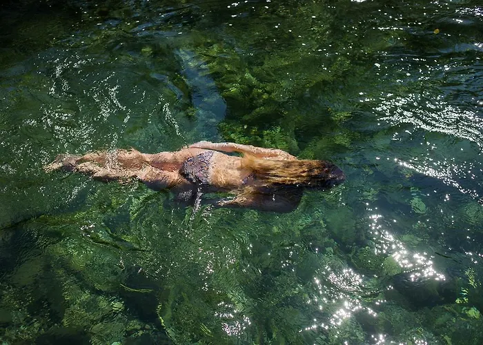 Camping Naturplac Na Skali