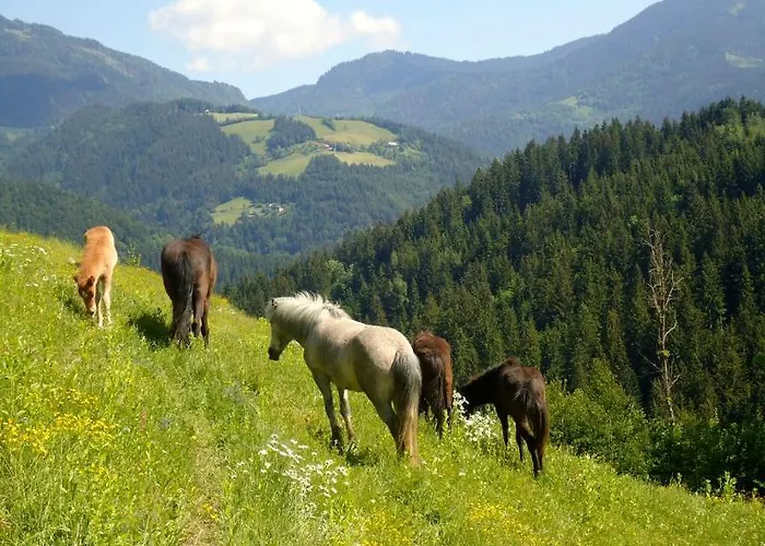 Camping Naturplac Na Skali 2* Ljubno