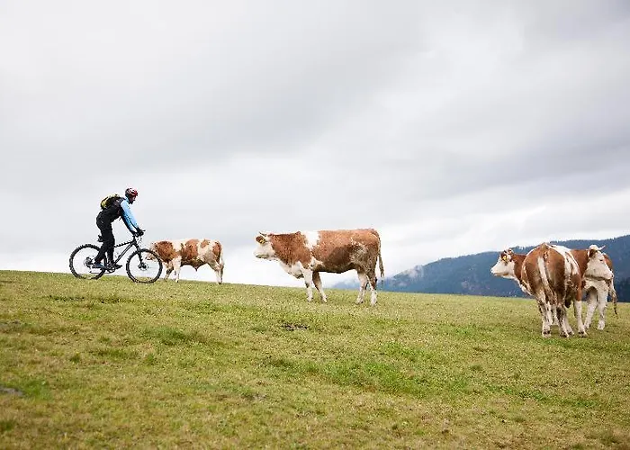 럭셔리텐트 Camping Naturplac Na Skali 2*