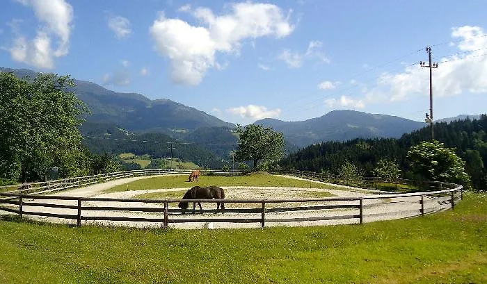 Camping Naturplac Na Skali