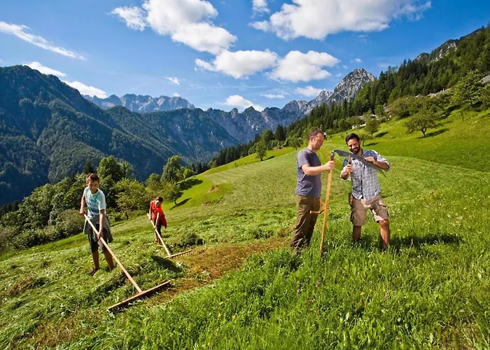 Camping Naturplac Na Skali 2*