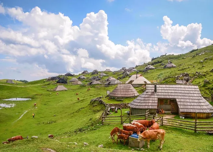 Camping Naturplac Na Skali خيمة فخمة 2*