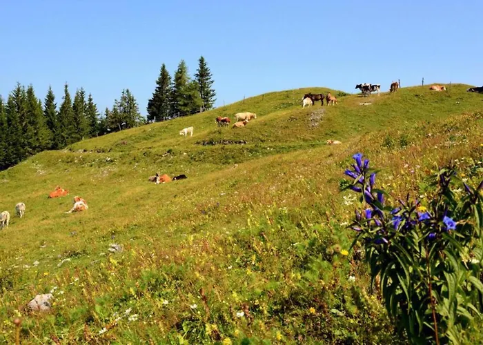 Camping Naturplac Na Skali 럭셔리텐트
