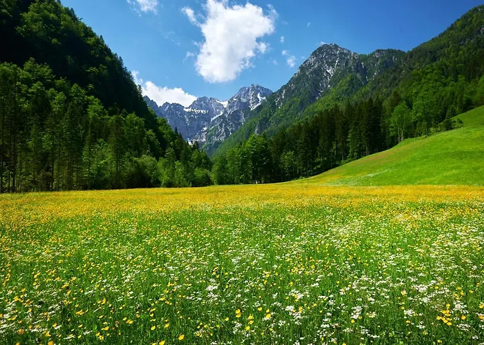 خيمة فخمة Camping Naturplac Na Skali 2*