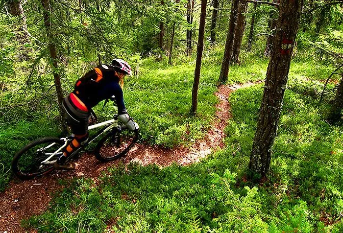 Camping Naturplac Na Skali Ljubno